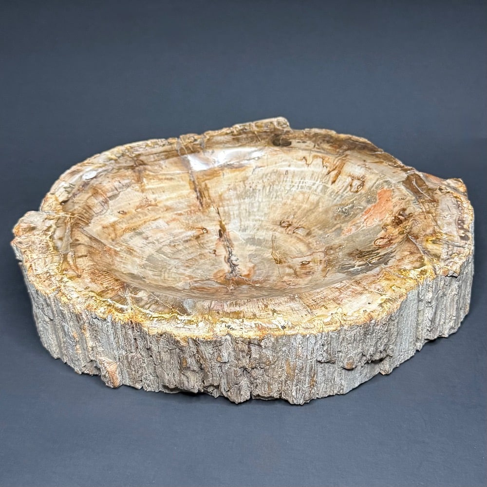 PR506 Petrified Wood Bowl