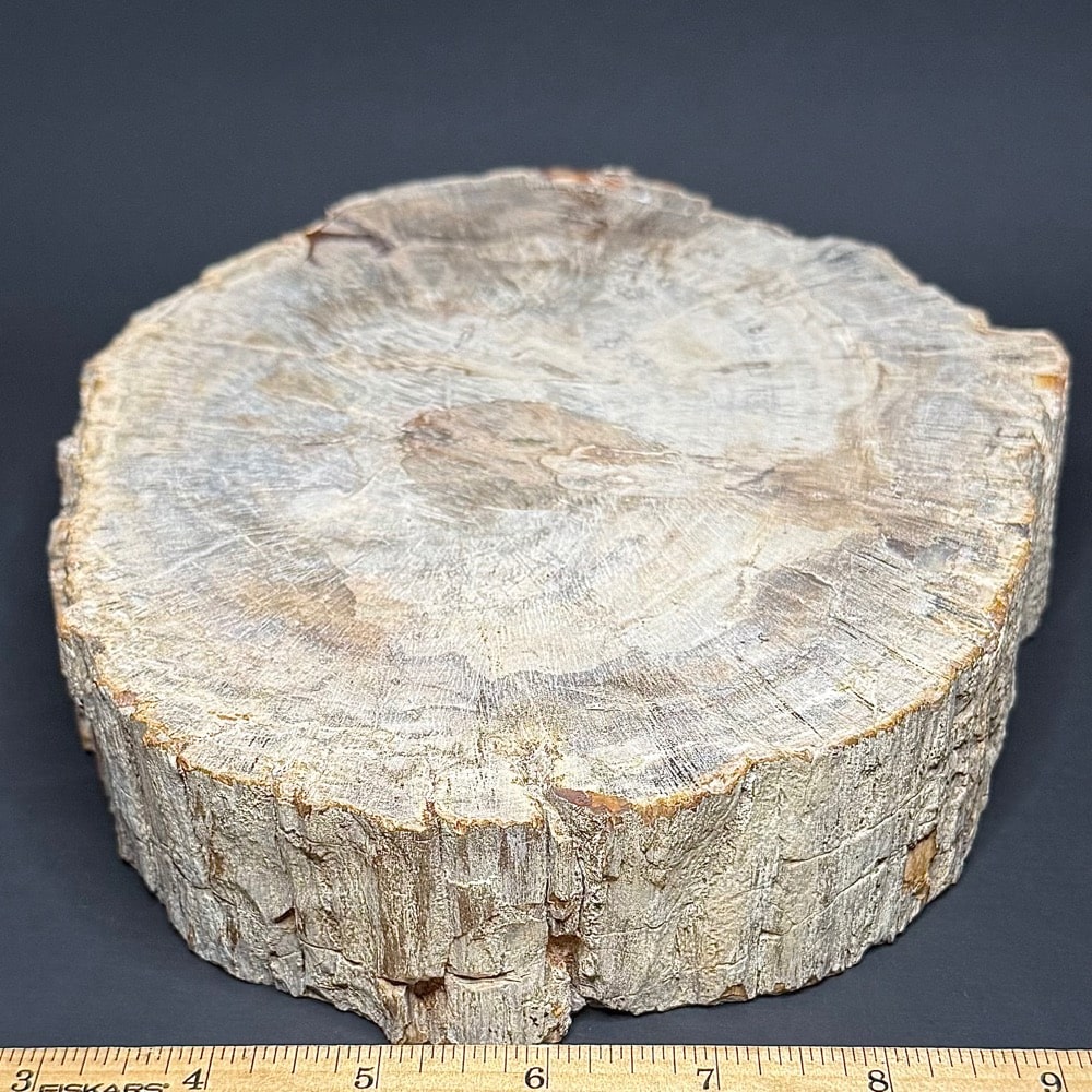 PR506 Petrified Wood Bowl - Image 2