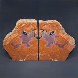 BK503 Petrified Wood Bookends