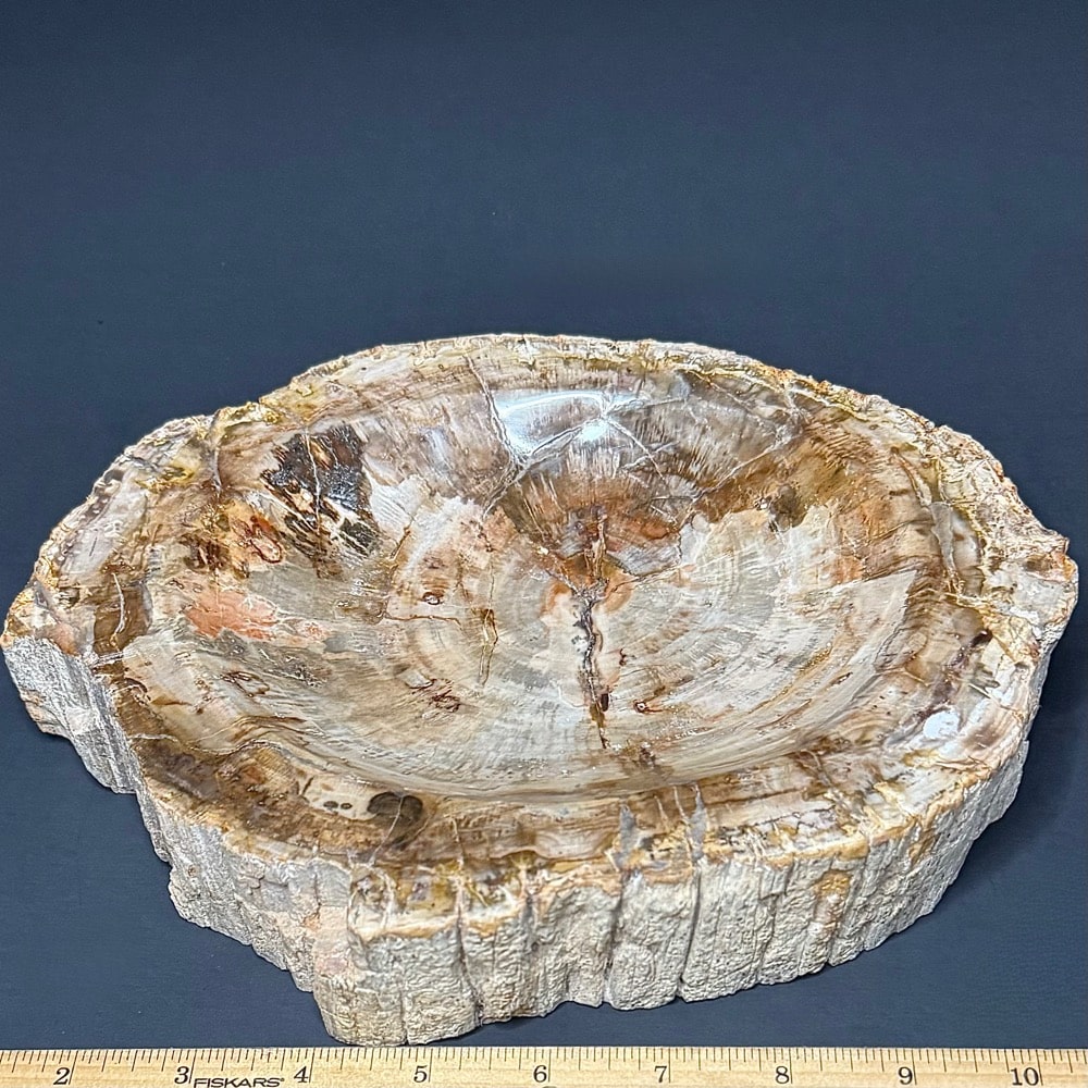 PR506 Petrified Wood Bowl