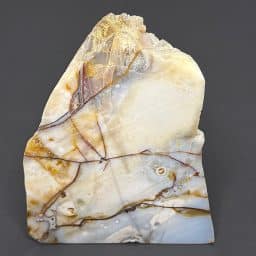 PR704 Poka Dot Jasper Standup