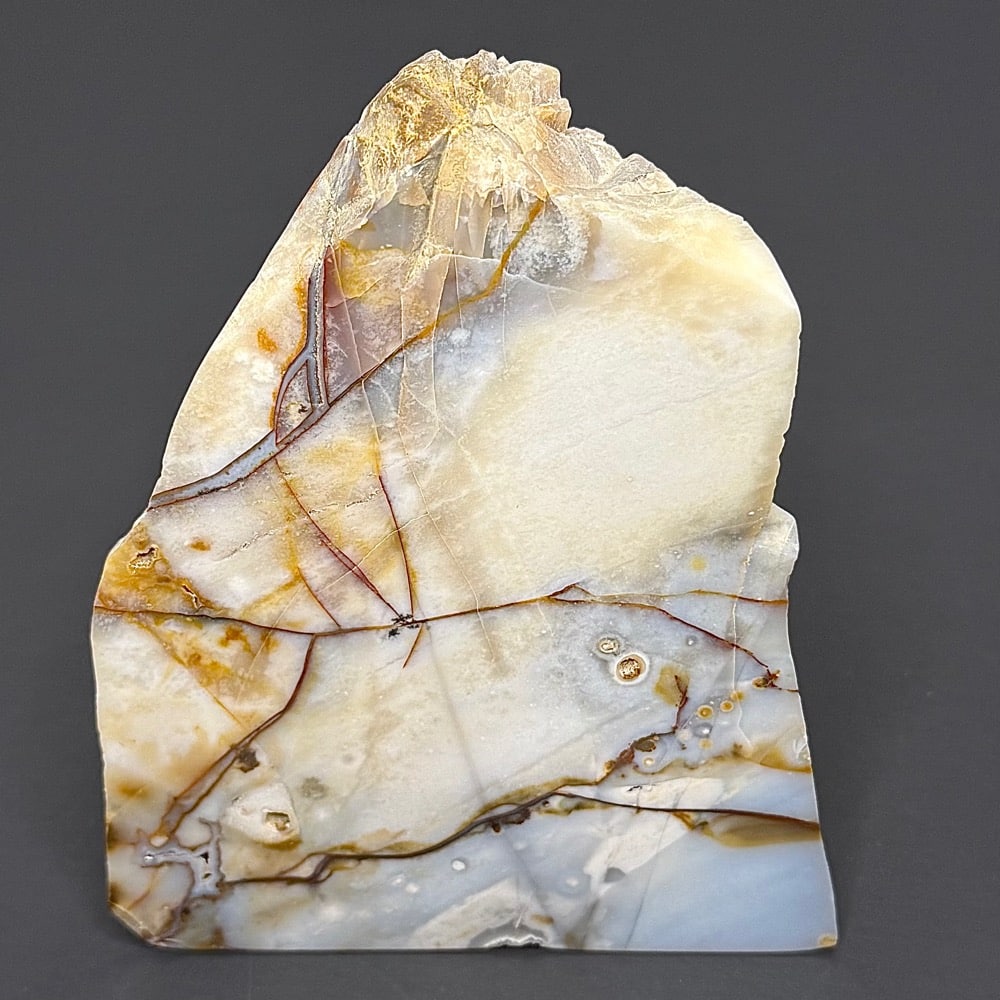 PR704 Poka Dot Jasper Standup