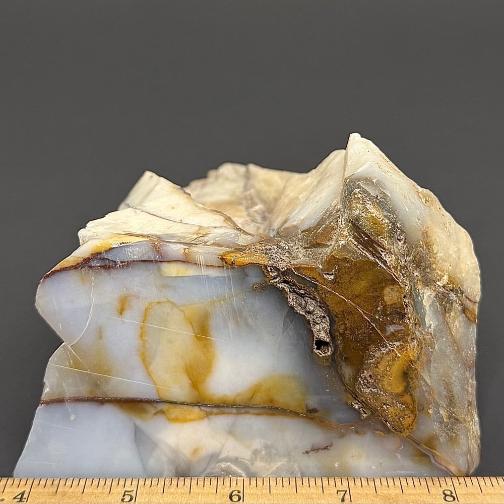 PR704 Poka Dot Jasper Standup - Image 2