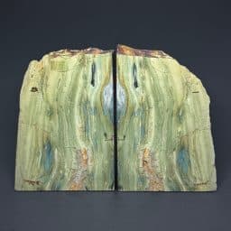 BK603 Gary Green Jasper Petrified Bogwood Bookends