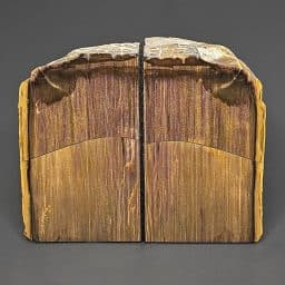 BK607 Petrified Wood Bookends