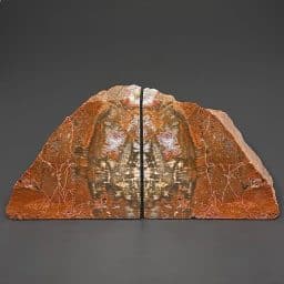 BK701 Petrified Wood Bookends