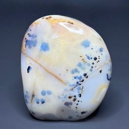 PR1214 Black Skin Agate Freeform