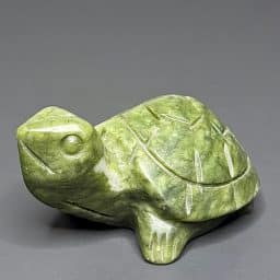 CV200 Serpentine Turtle