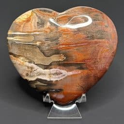 H208 Petrified Wood Heart