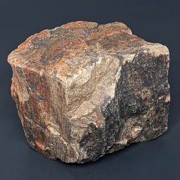 GR102 Arizona Petrified Wood