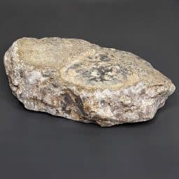 BCR313 South Dakota Chalcedony