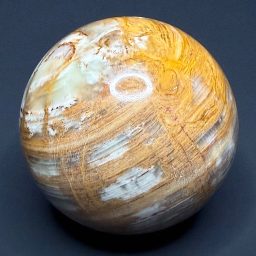 SP804 Onyx