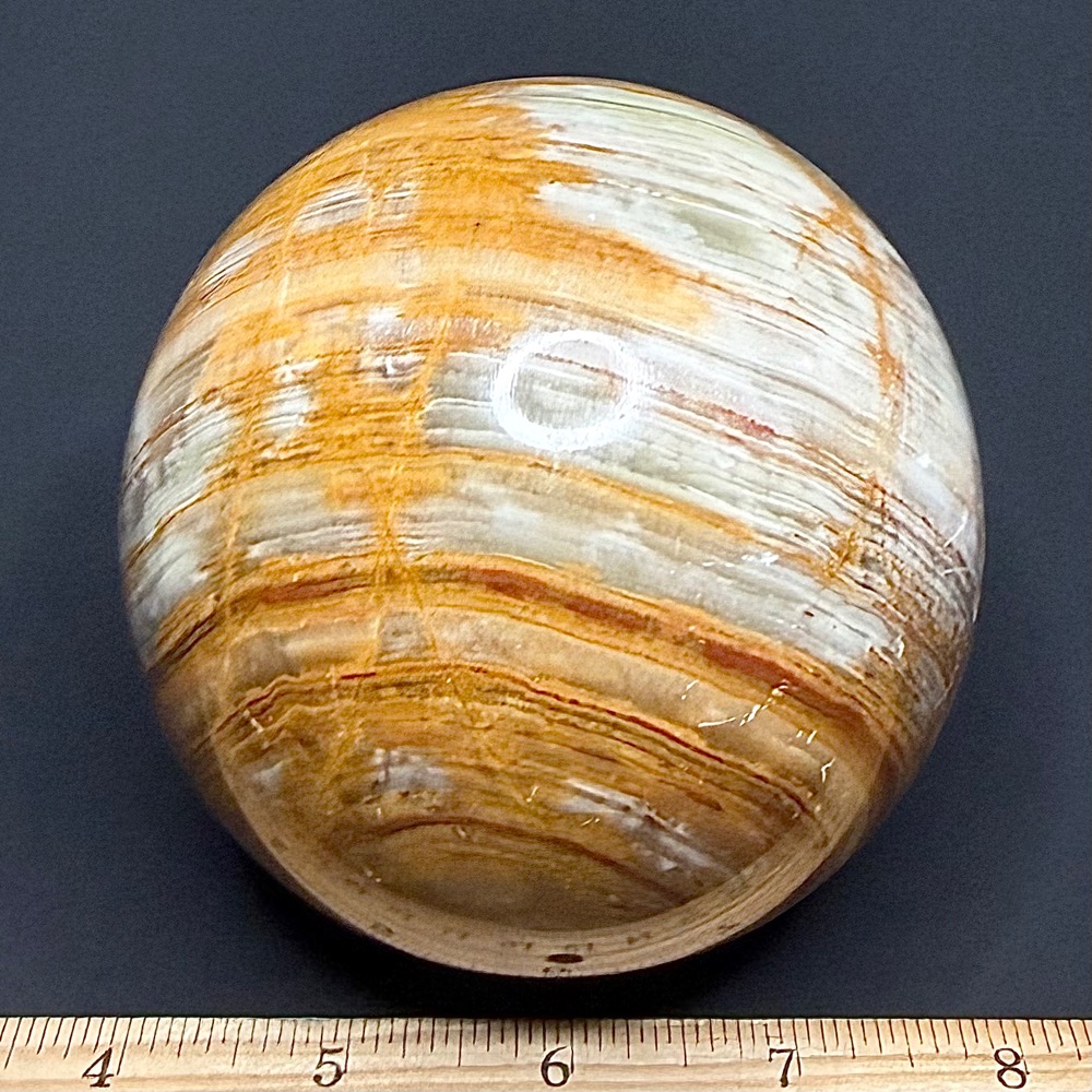 SP804 Onyx - Image 2