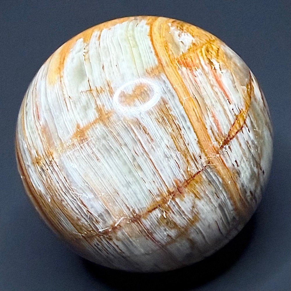 SP804 Onyx - Image 3