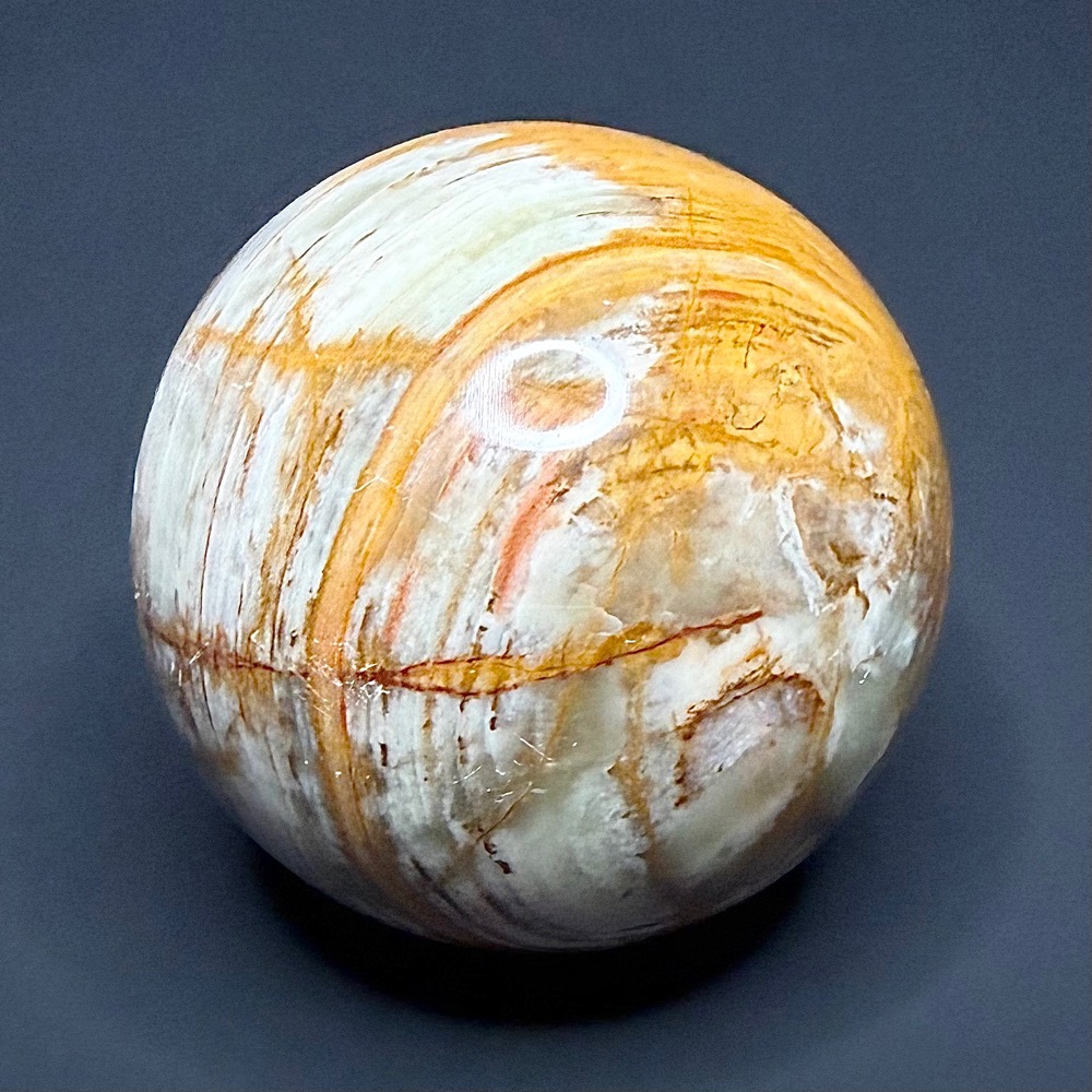 SP804 Onyx - Image 4
