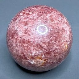SP500 Cherry Tanzurine