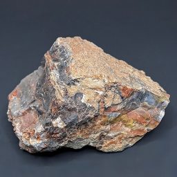 GR102 Arizona Petrified Wood