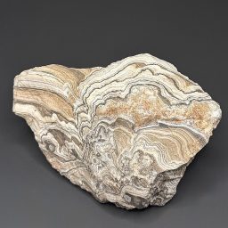 GR105 Zebra Aragonite