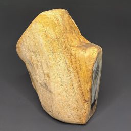 GR114 Indonesian Petrified Wood