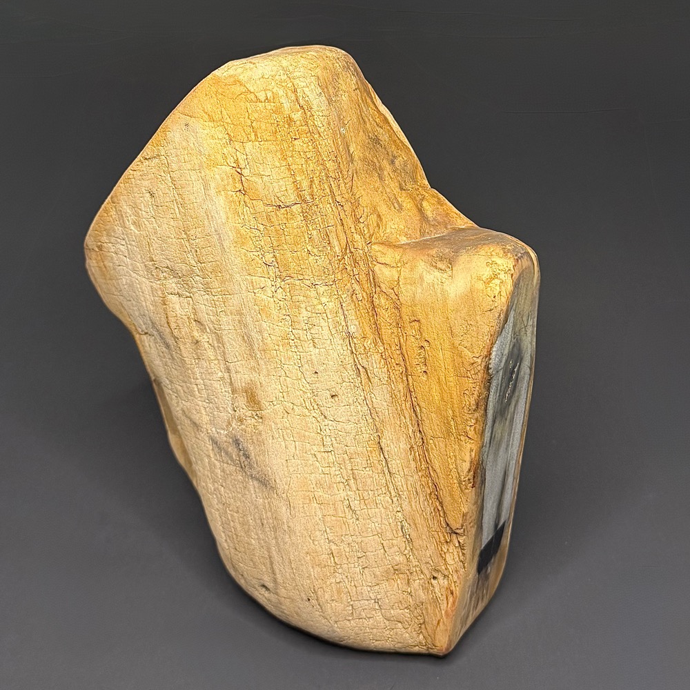 GR114 Indonesian Petrified Wood