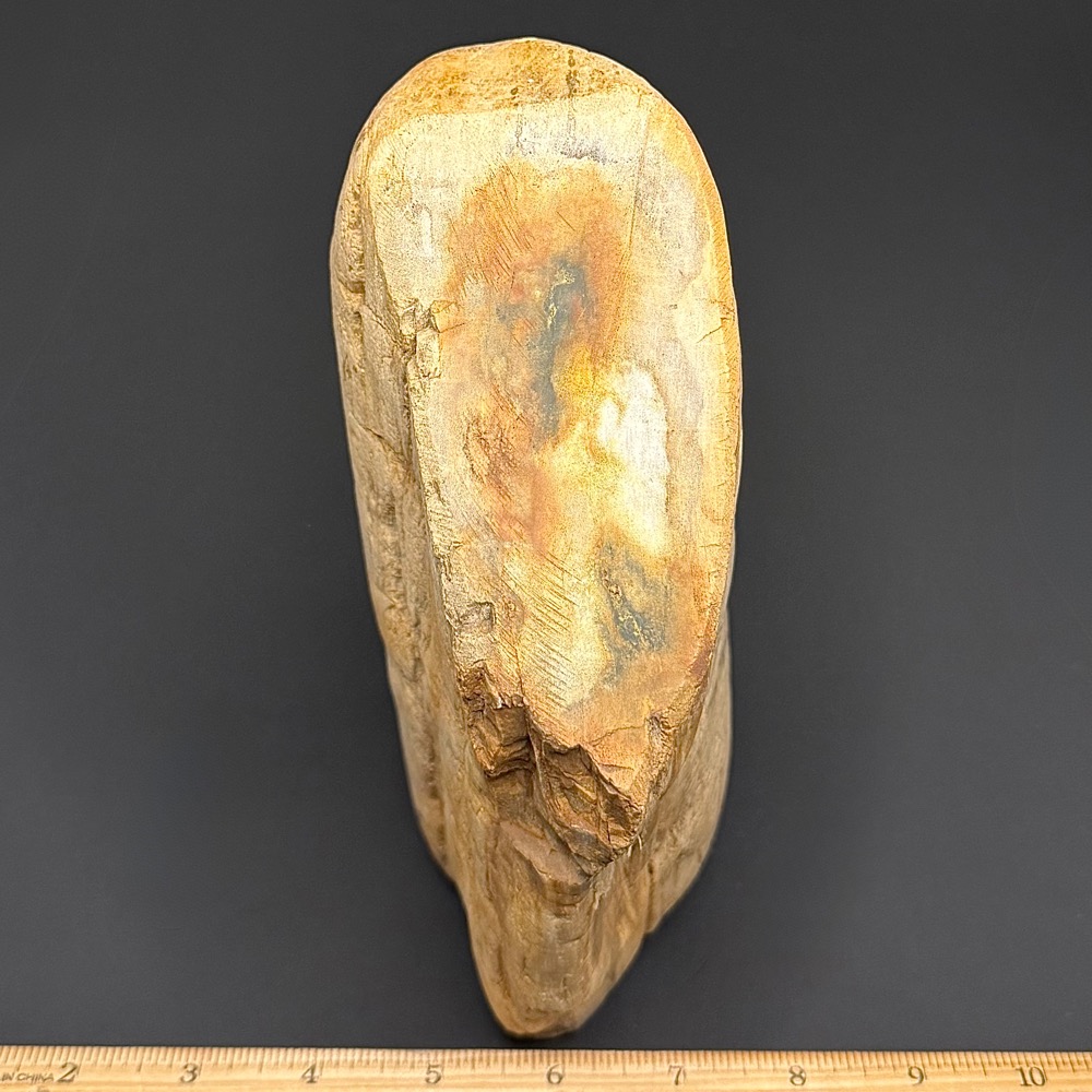 GR114 Indonesian Petrified Wood - Image 4