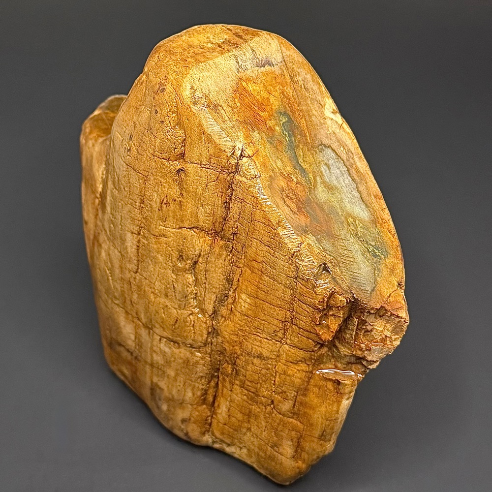 GR114 Indonesian Petrified Wood