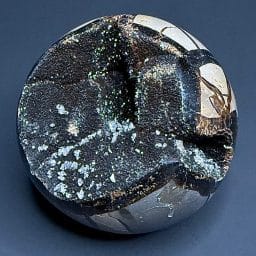 SP1006 Septarian