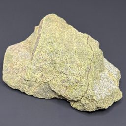 GR202 Serpentine