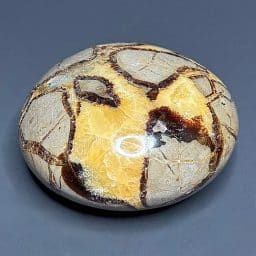 PRS46 Septarian Disk