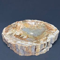 PW300 Madagascar Petrified Wood Bowl