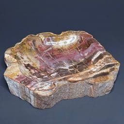 PW300 Madagascar Petrified Wood Bowl