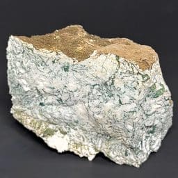 BCR404 India Green Tree Agate