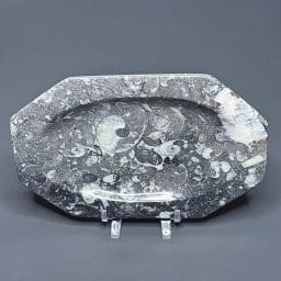 FO209 Fossil Rock Dish