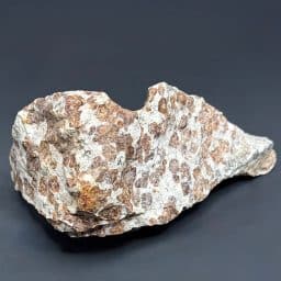 GR218 Garnet in Wollastonite Matrix