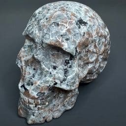 CV408 Yooperlite Skull