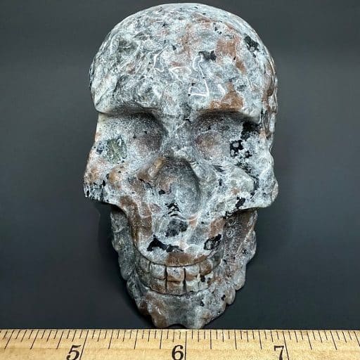 VALIEM 鉢　L size skull bitter s-l1200.jpg