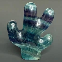 CV423 Fluorite Cactus