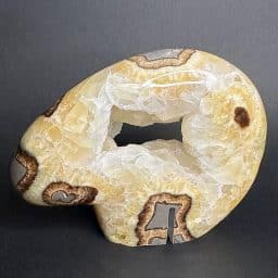 SEP107 Septarian Bear