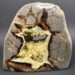 SEP308 Septarian Stand Up