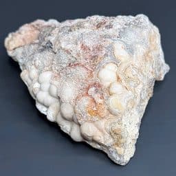 BCR303 Mexican Lace Agate