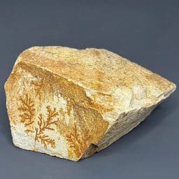 GR106 Dendritic Limestone