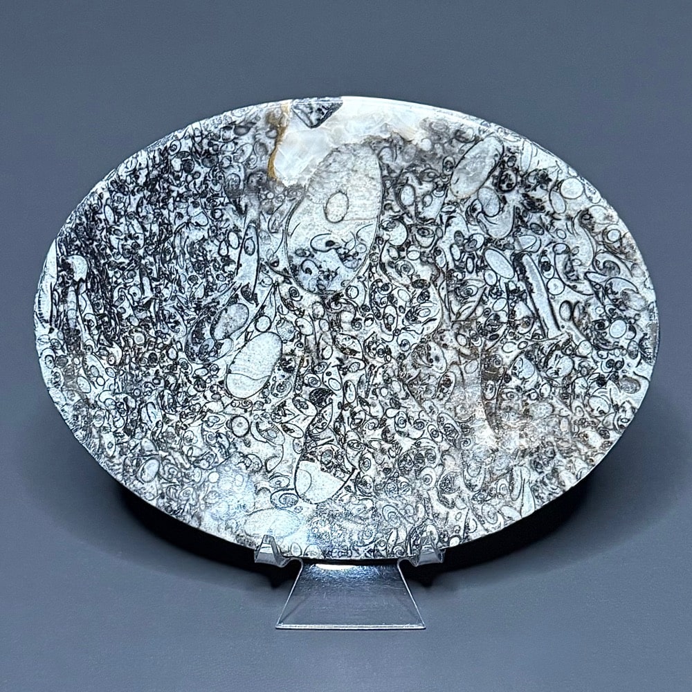 FO615 Fossil Dish