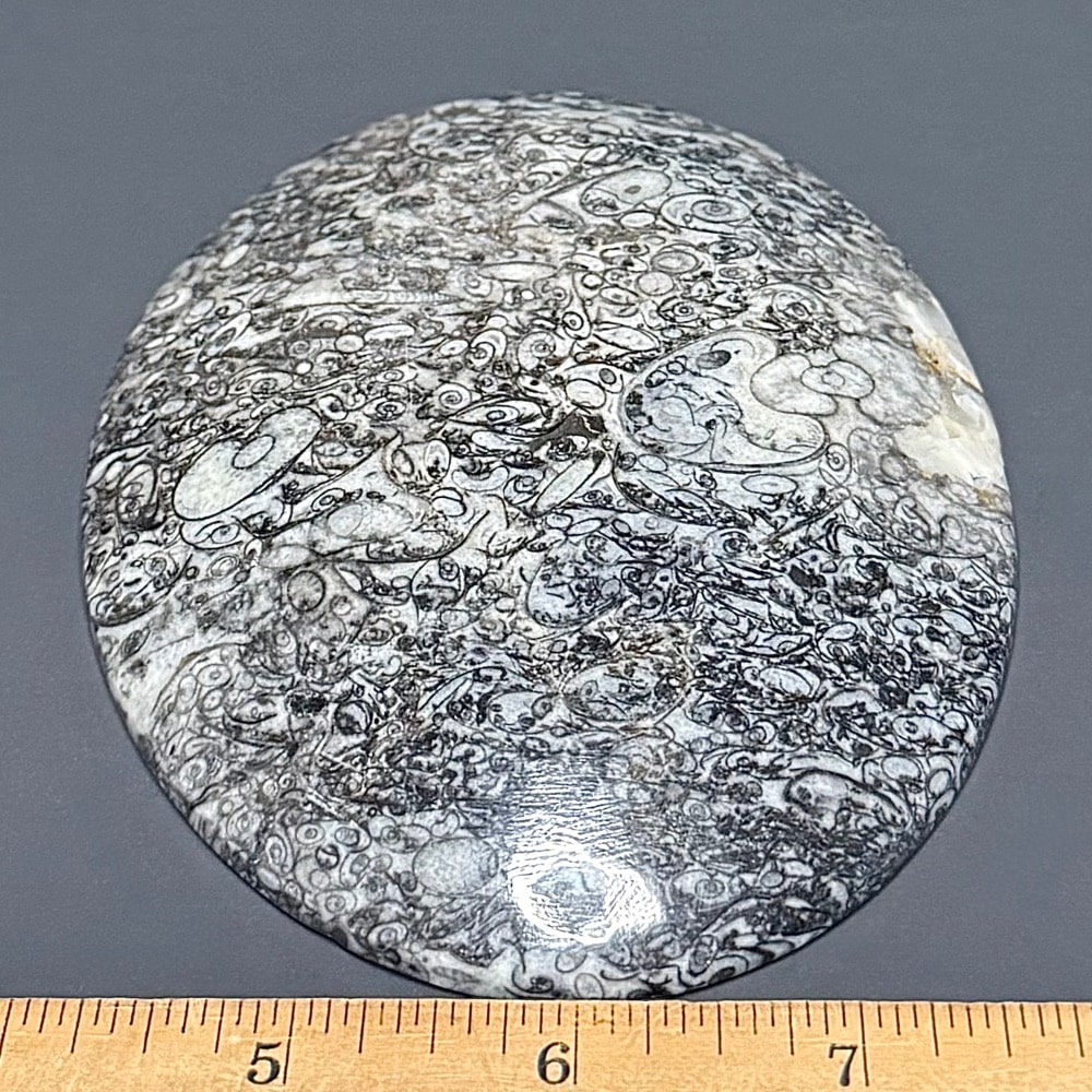 FO615 Fossil Dish