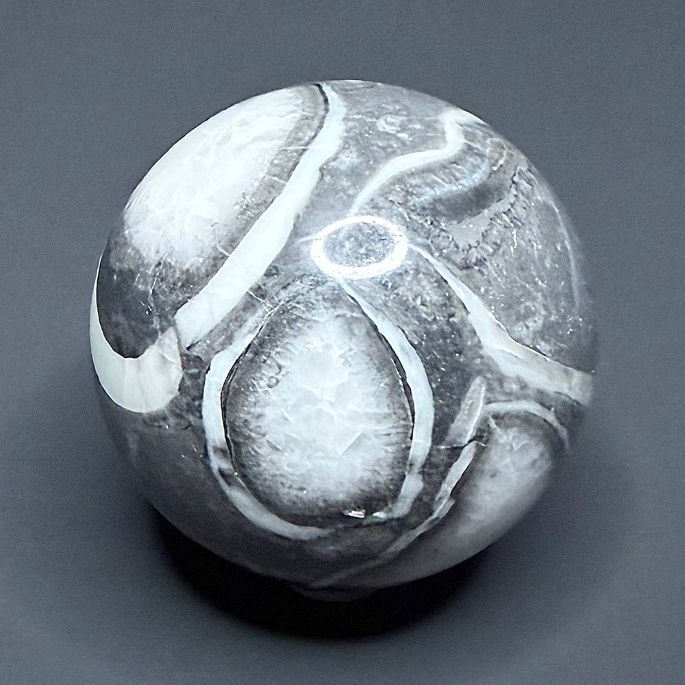 SP109 Fossil Shell Marble