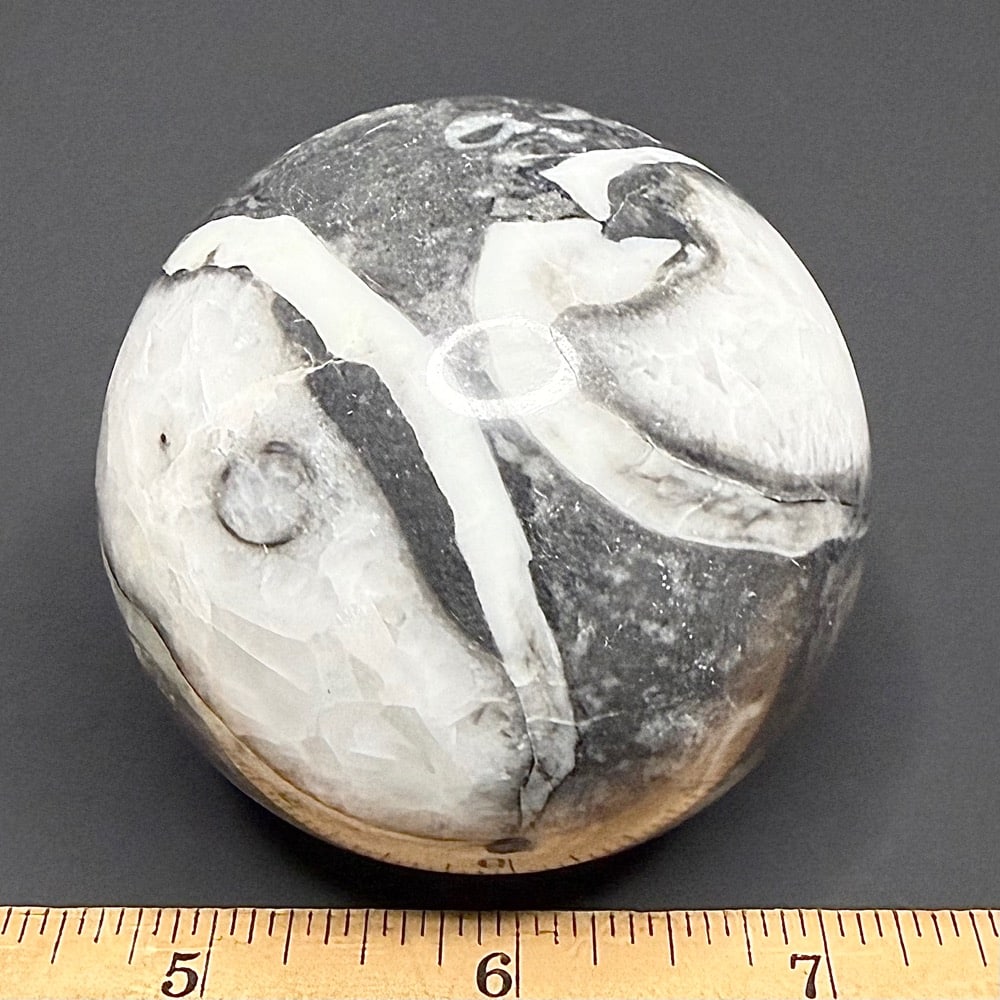 SP109 Fossil Shell Marble - Image 2