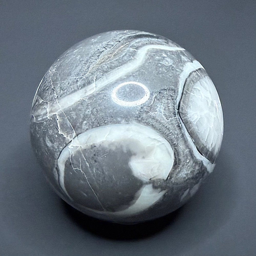 SP109 Fossil Shell Marble - Image 3