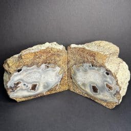 GAL520 EDEN VALLEY PETRIFIED WOOD