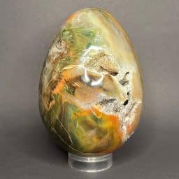GAL936 PETRIFIED WOOD EGG