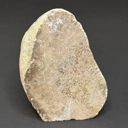 BCR317 Petoskey Stone