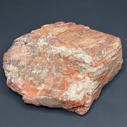 GR102 Arizona Petrified Wood